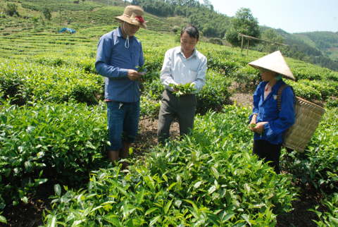 Chuyển dịch cơ cấu kinh tế ở Thanh Bình