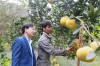 Anh Nguyễn Văn Nam (phải ảnh) giới thiệu mô hình trồng cây ăn quả. (Ảnh chụp trước ngày 27/4/2021)