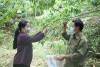 Mường Khương khó khăn trong xây dựng nông thôn mới