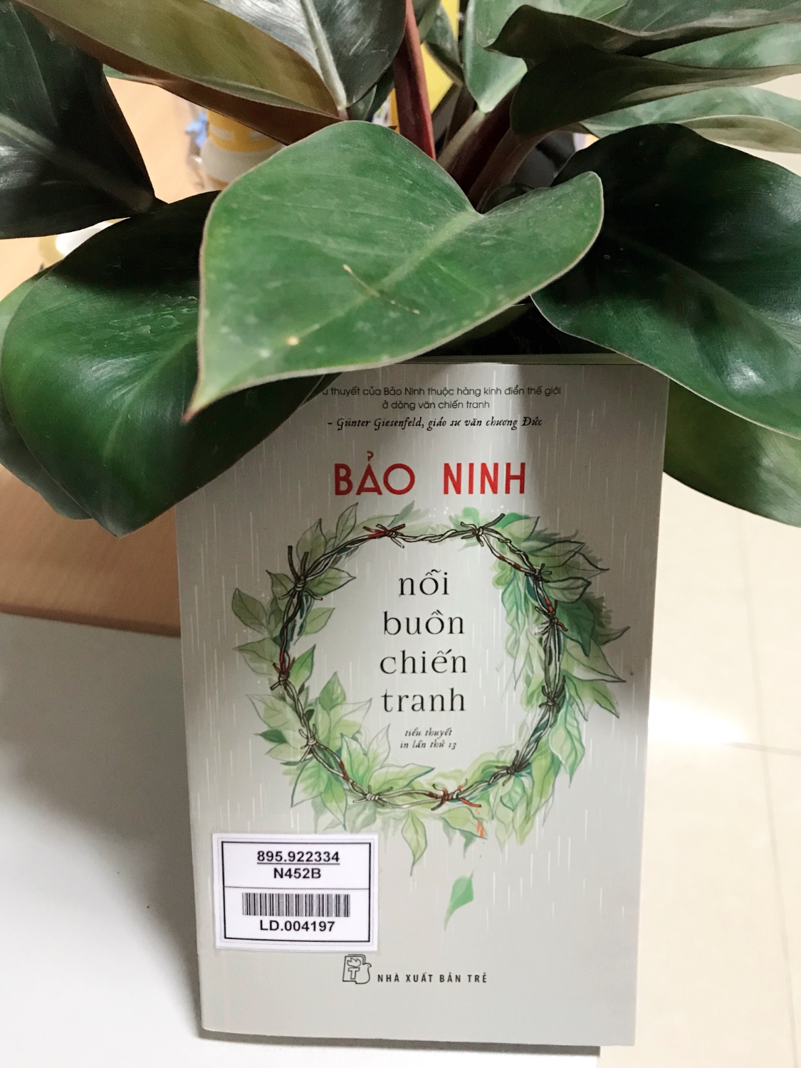 Nỗi buồn chiến tranh - Kỷ niệm Ngày thành lập Quân đội nhân dân Việt Nam 22/12