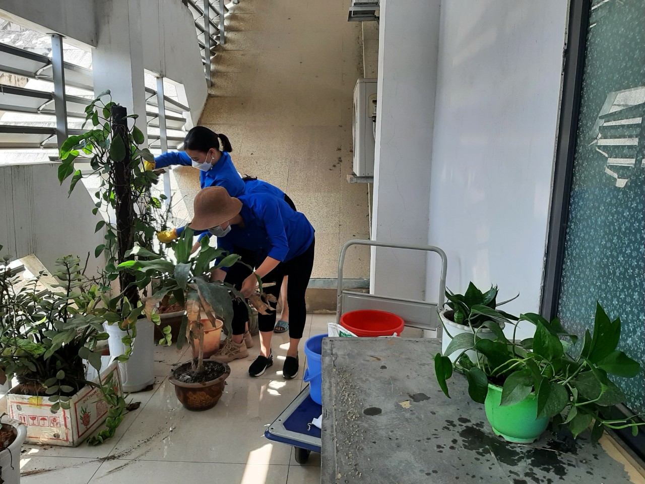 Đoàn viên chi Đoàn Thư viện tỉnh ra quân dọn dẹp vệ sinh môi trường tại đơn vị