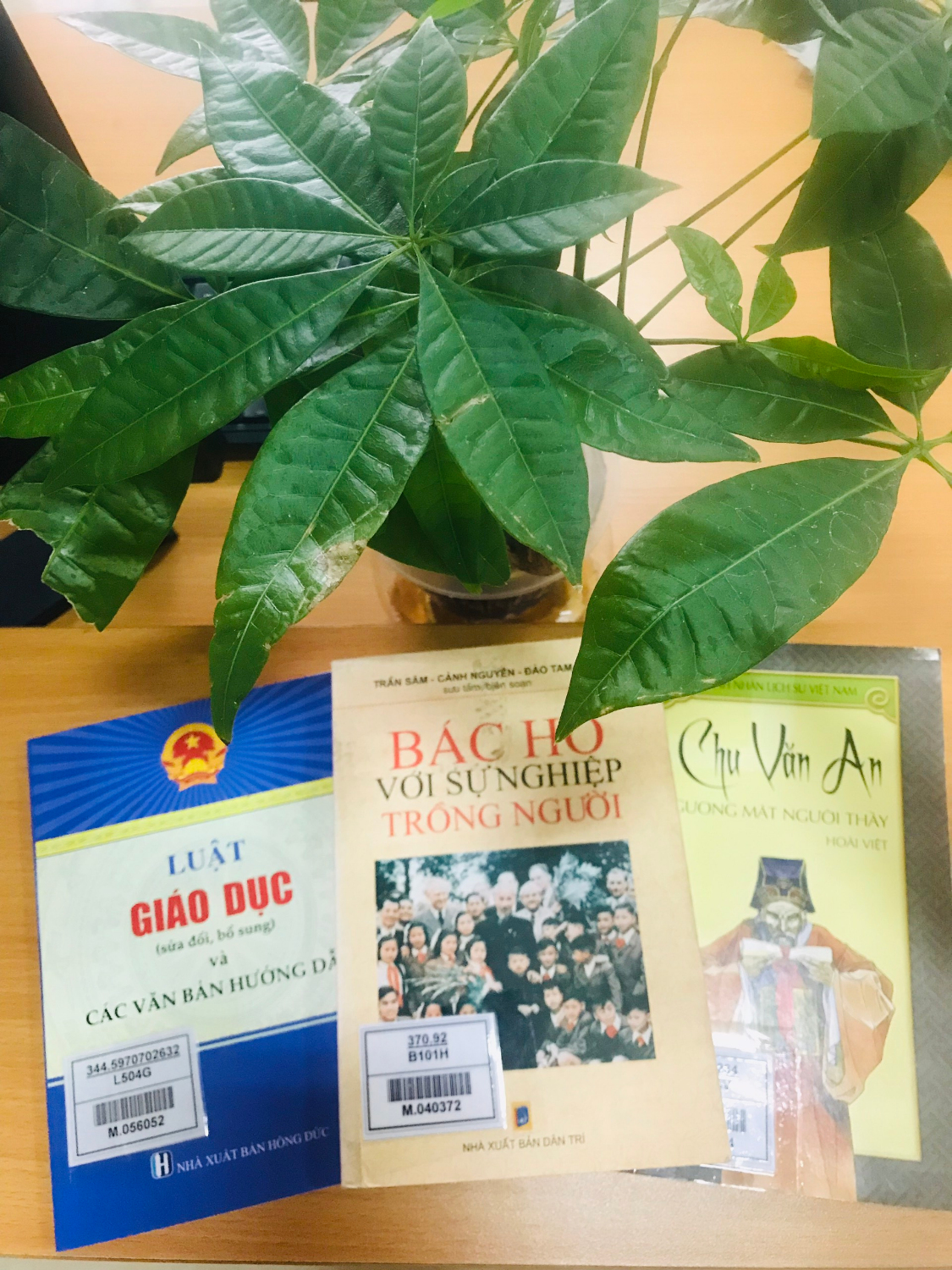 Giới thiệu sách Kỷ niệm 40 năm Ngày Nhà giáo Việt Nam 20-11: Những trang sách viết về Thầy, Cô!