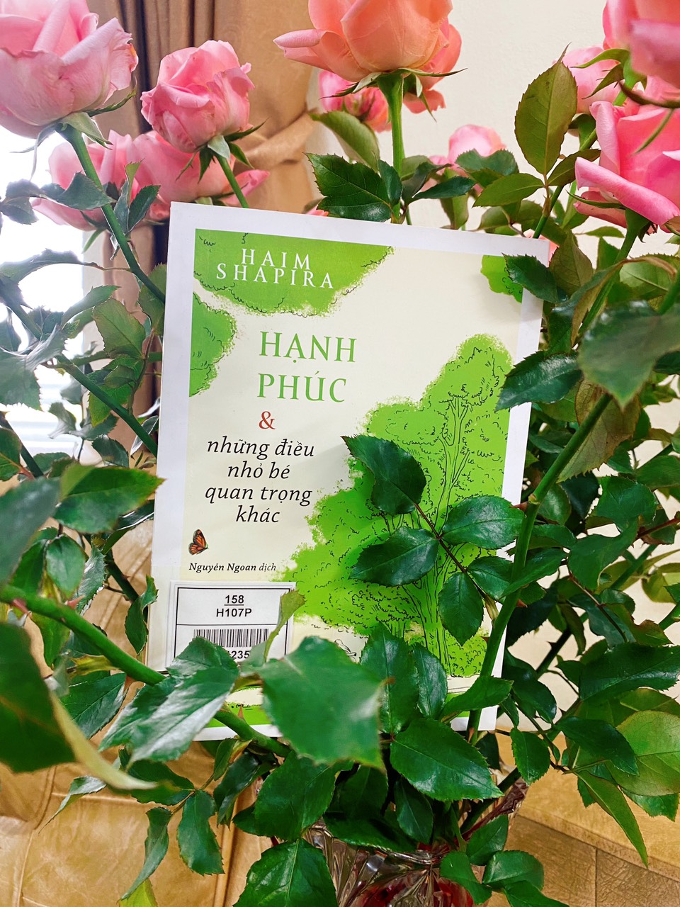 90b54dc80231df6f8620