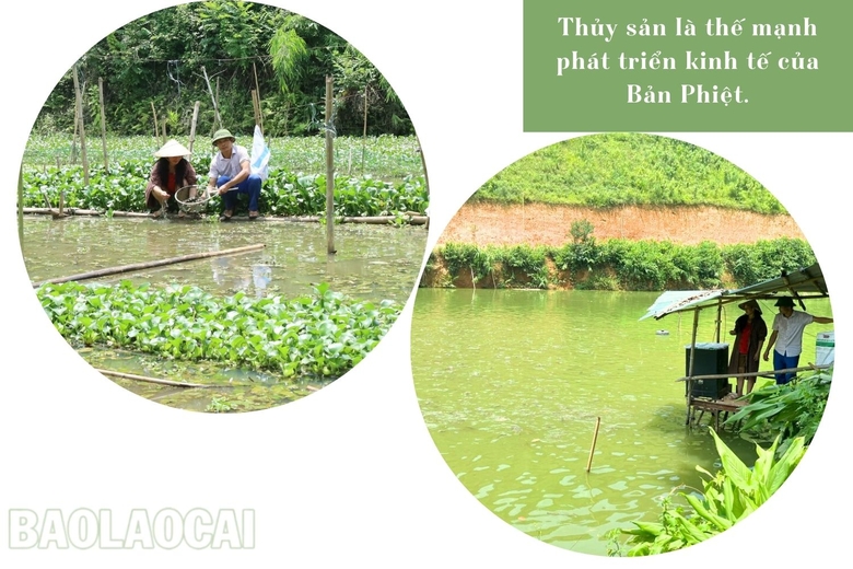 Bản Phiệt đạt tiêu chí thu nhập