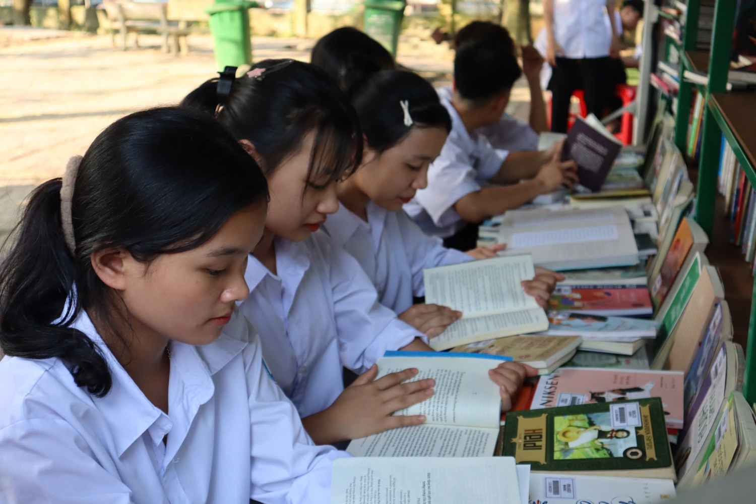 2e008f340a4eb310ea5f63